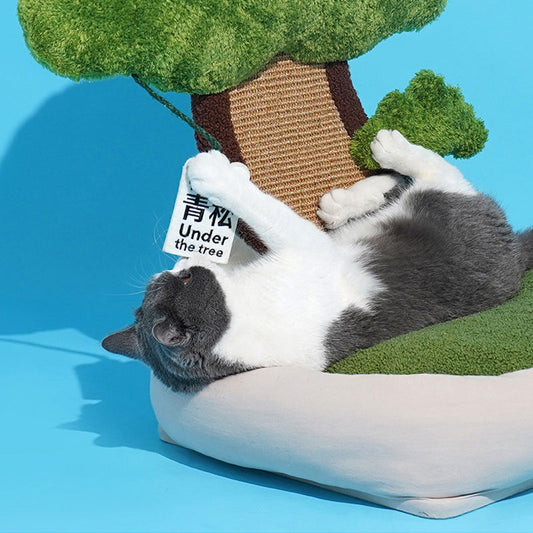 Purr & Snooze Bundle: The Ultimate Comfort Set for Cats