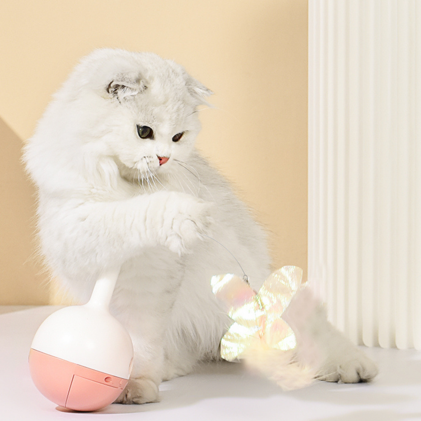 Meowgic Moments Bundle: Interactive Play for Curious Cats