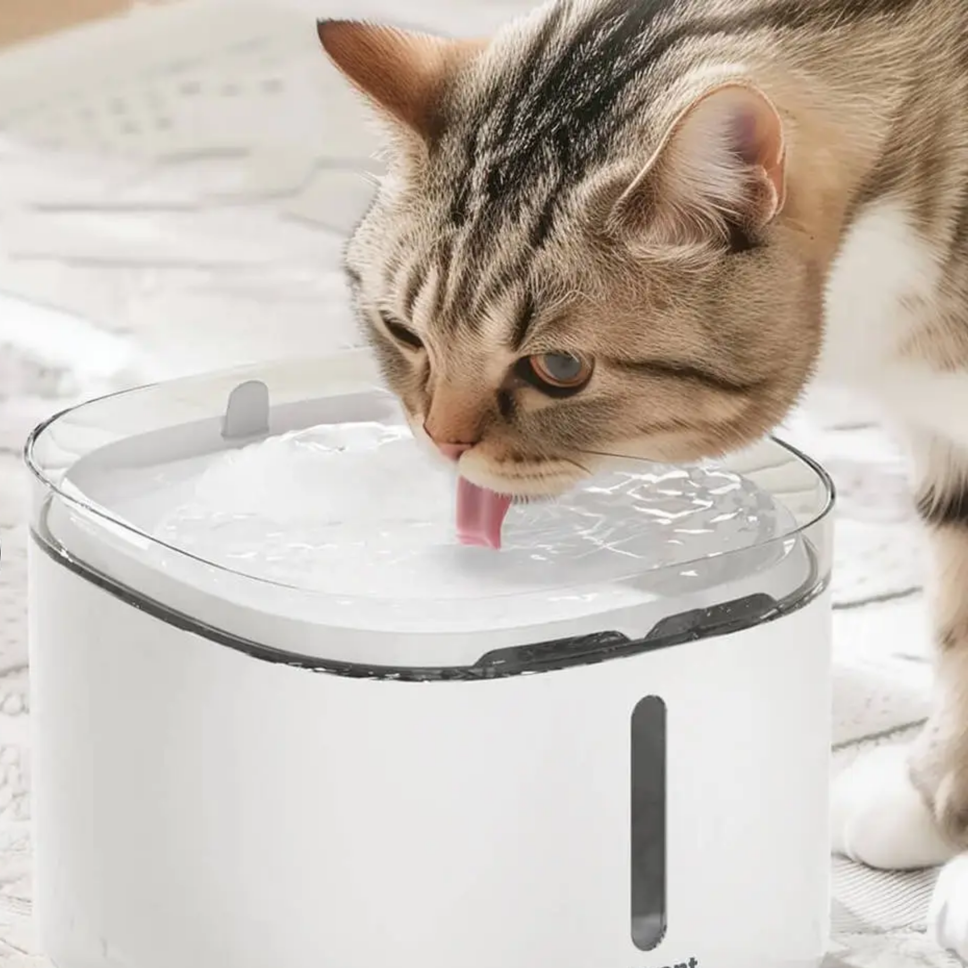 AquaPure Smart Water Fountain