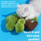 Purr & Snooze Bundle: The Ultimate Comfort Set for Cats