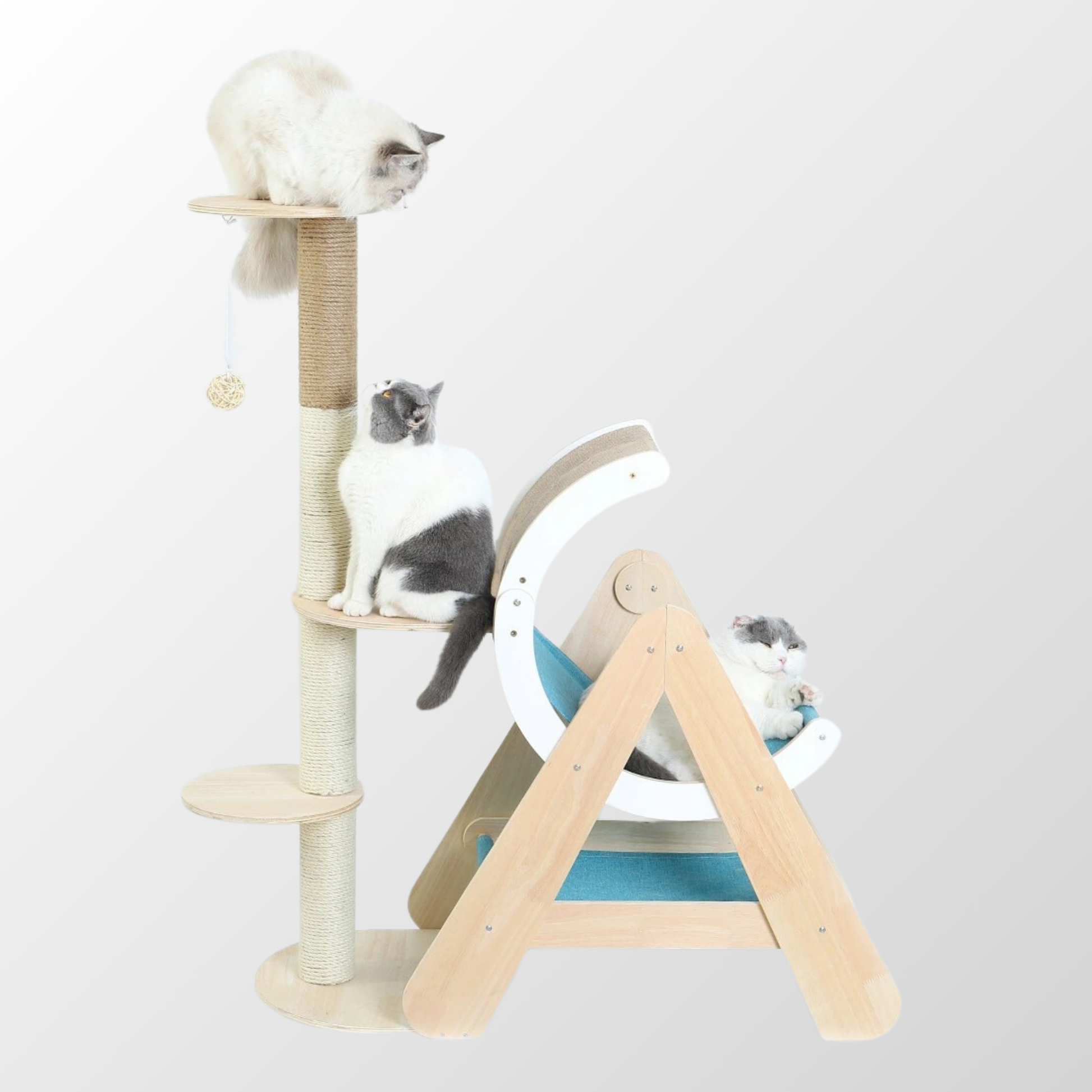 Climb & Lounge Frame