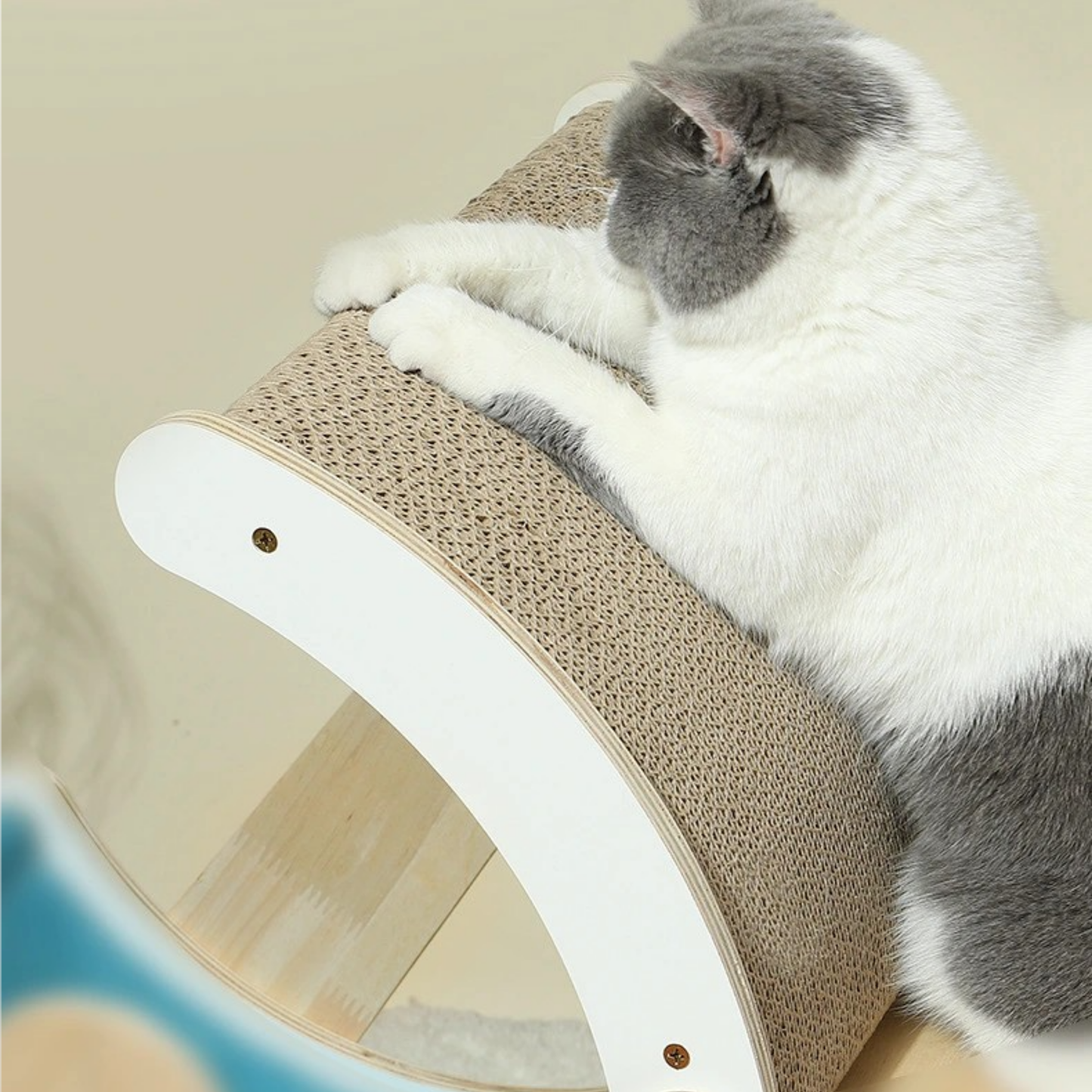 Climb & Lounge Frame