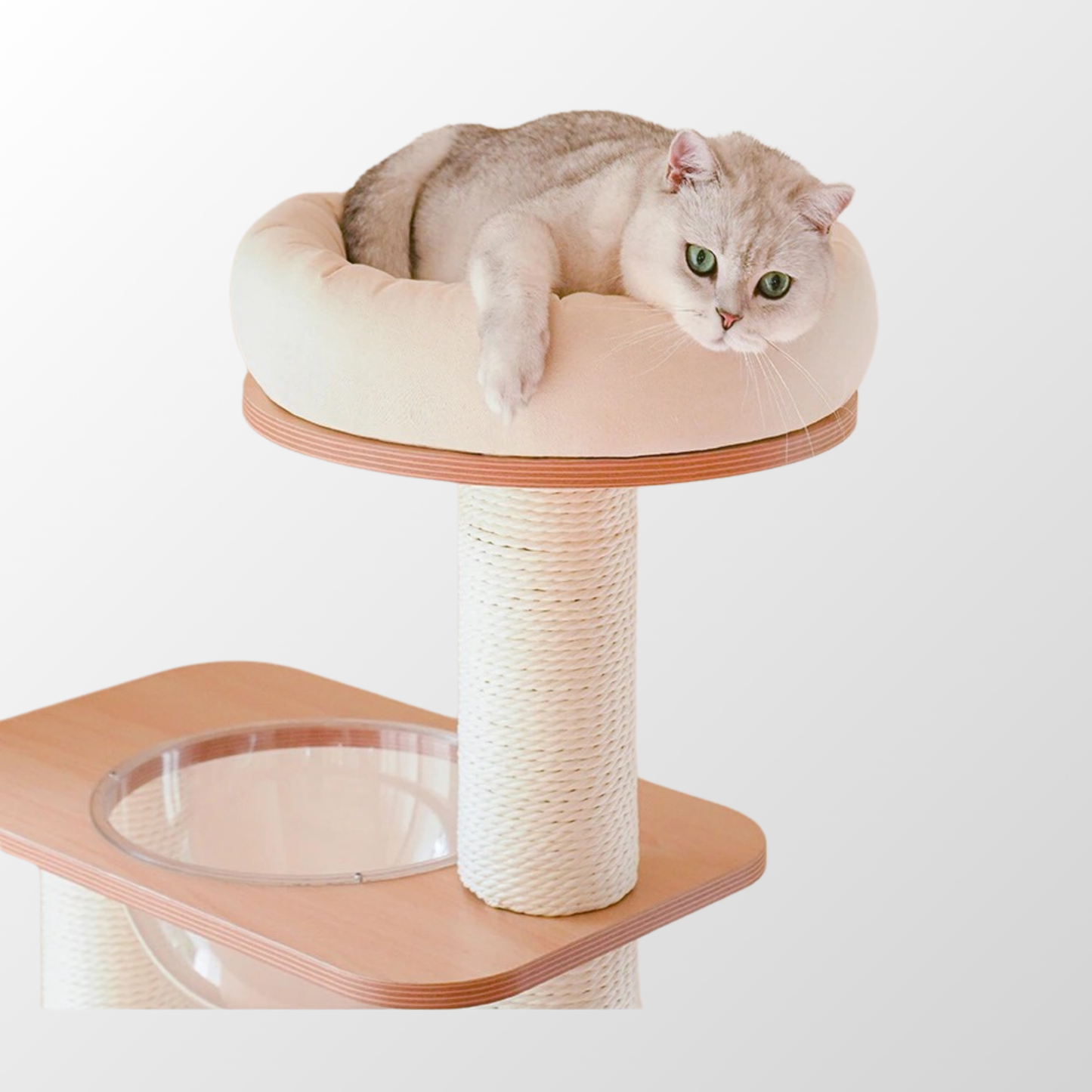 multi-level cat tree