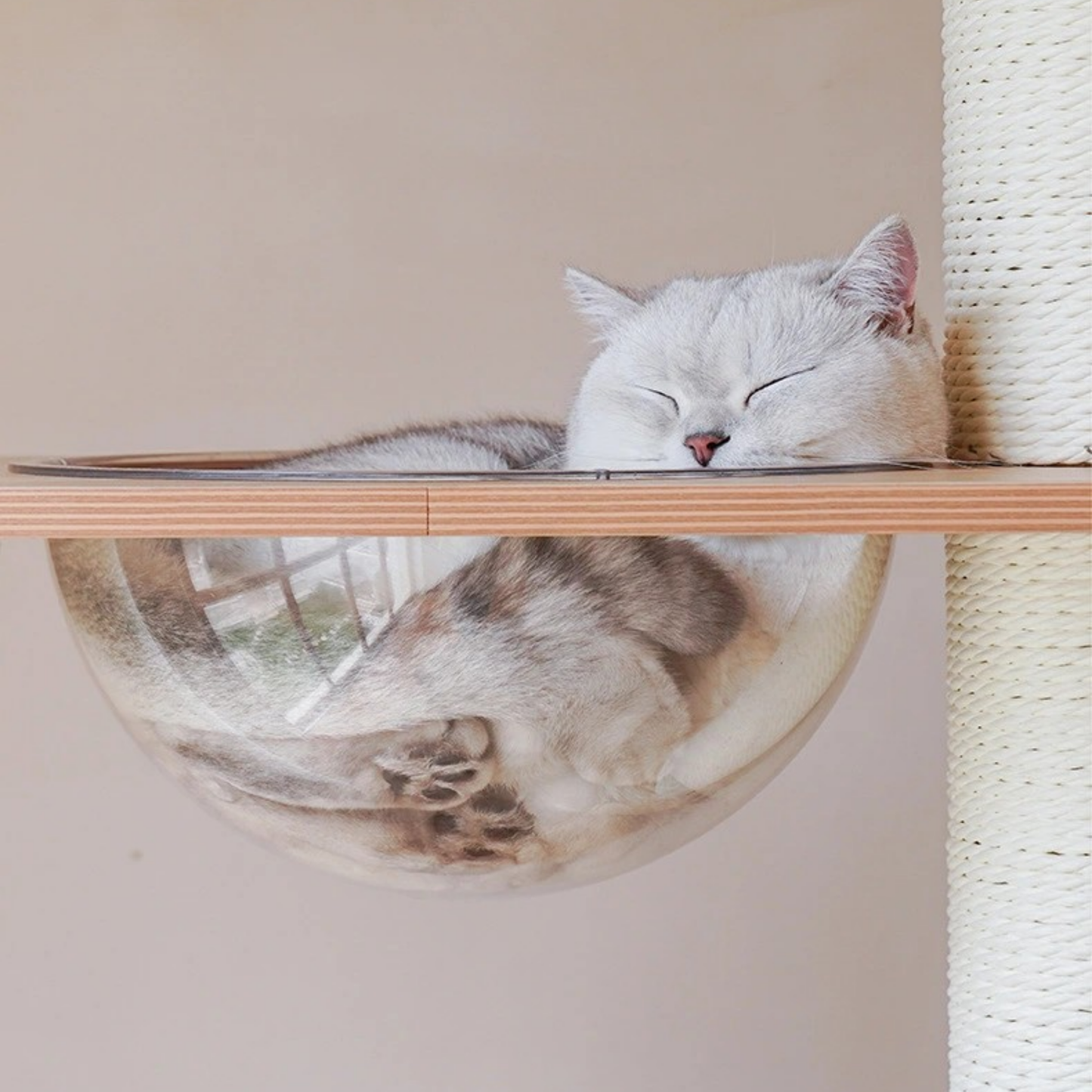 multi-level cat tree