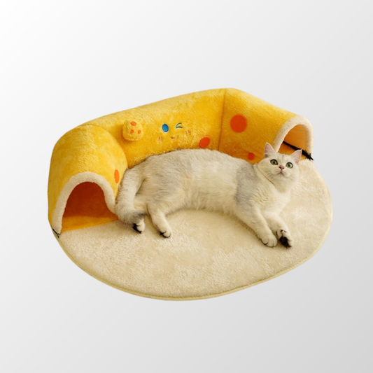 PurrPlay Tunnel