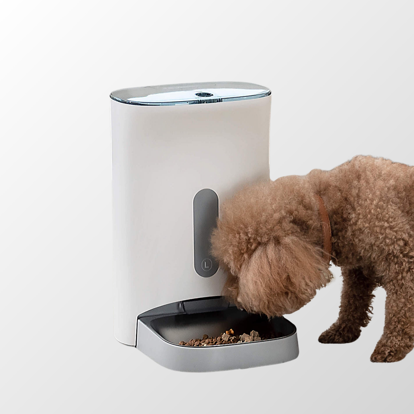 SmartFeast Auto Pet Feeder