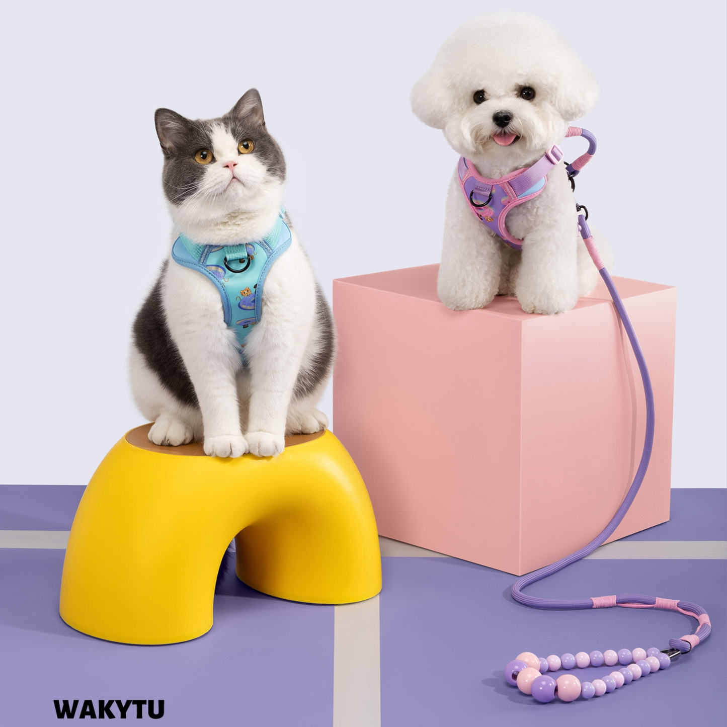 CloudComfort Harness & Leash Set