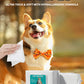 FreshPaws All-Purpose Pet Wipes