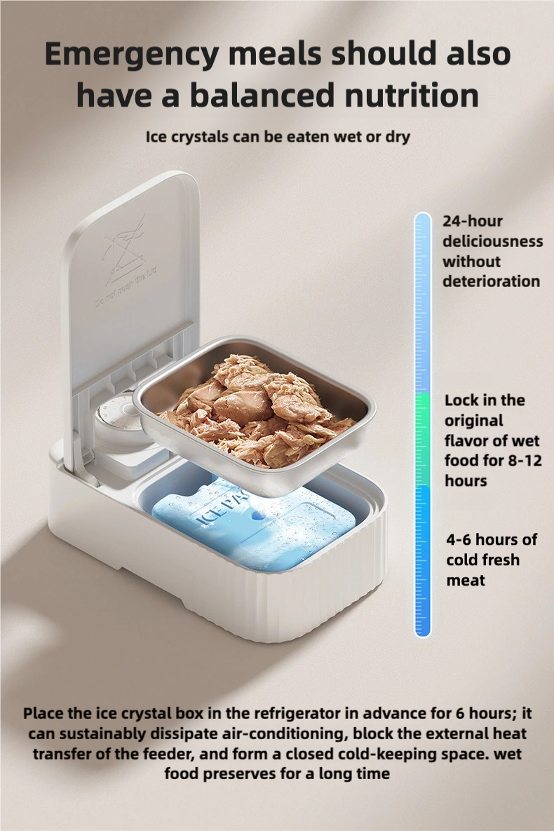 Ultimate Pet Care Bundle: Feeding and Hydration Made Easy