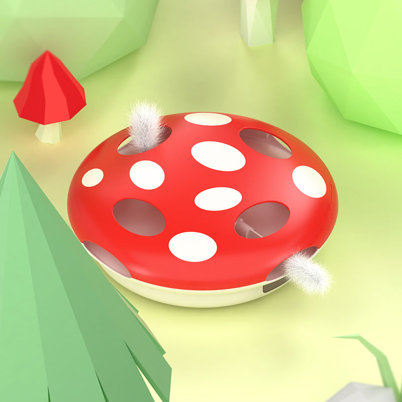 Meowgic Moments Bundle: Interactive Play for Curious Cats