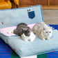 DenimFold Convertible Pet Sofa