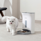 SmartFeast Auto Pet Feeder