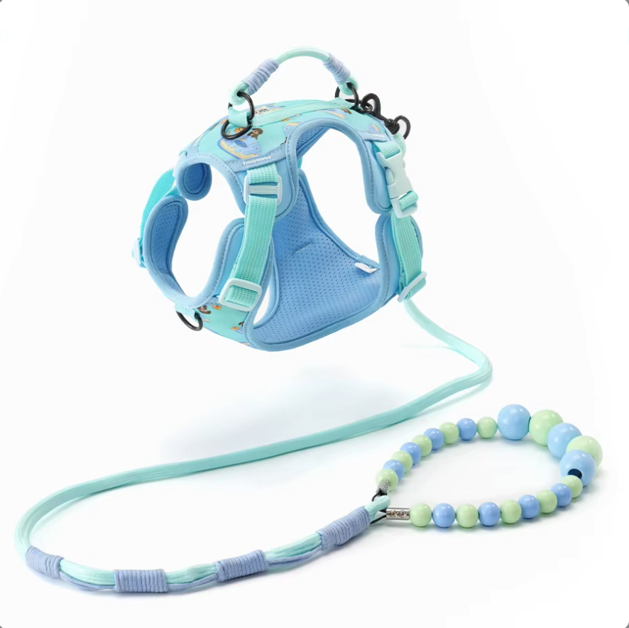 CloudComfort Harness & Leash Set